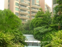 樓盤小區(qū)消毒滅蚊工程