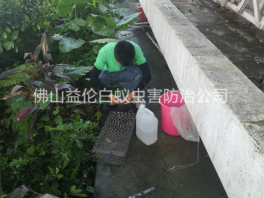 禪城蟲害所進(jìn)行捕蛇