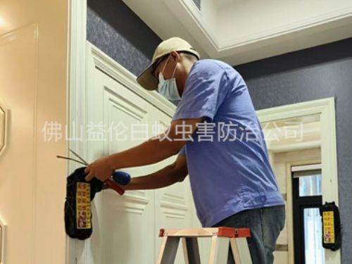 高明住宅白蟻防治工程