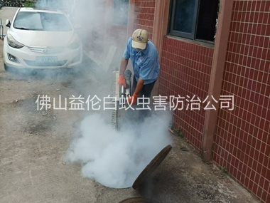 佛山環(huán)境蟑螂消殺工程
