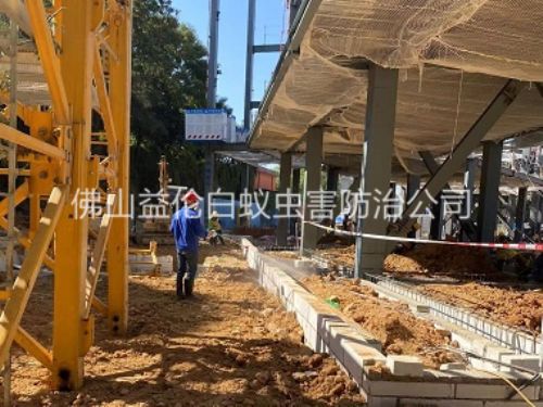 高明新建白蟻預防工程