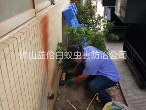 佛山投放滅鼠裝置工程