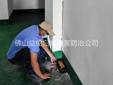 禪城電房滅殺白蟻工程