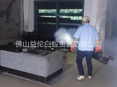 高明室內(nèi)滅蚊蟲(chóng)工程