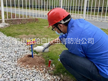 三水紅火蟻防治工程